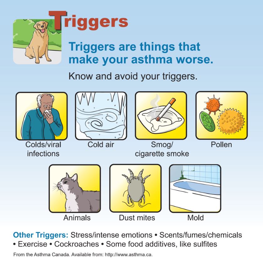 Asthma Triggers